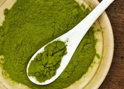 Duckweed Protein Market1