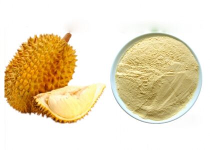 Durian Powder Market Dynamics