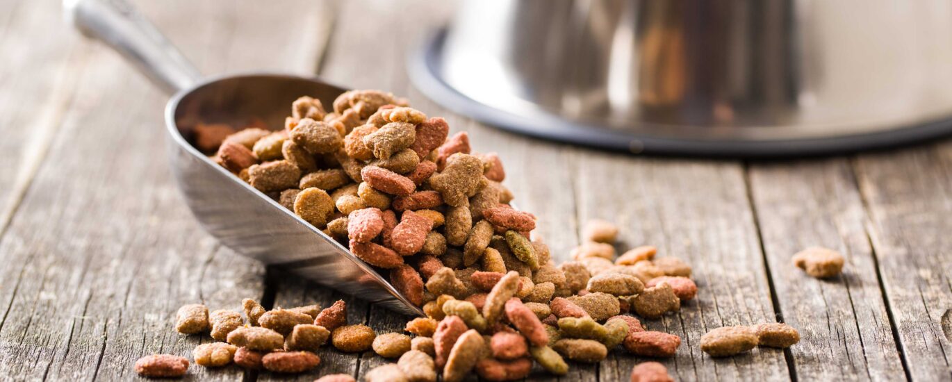 Europe Pet Food Market