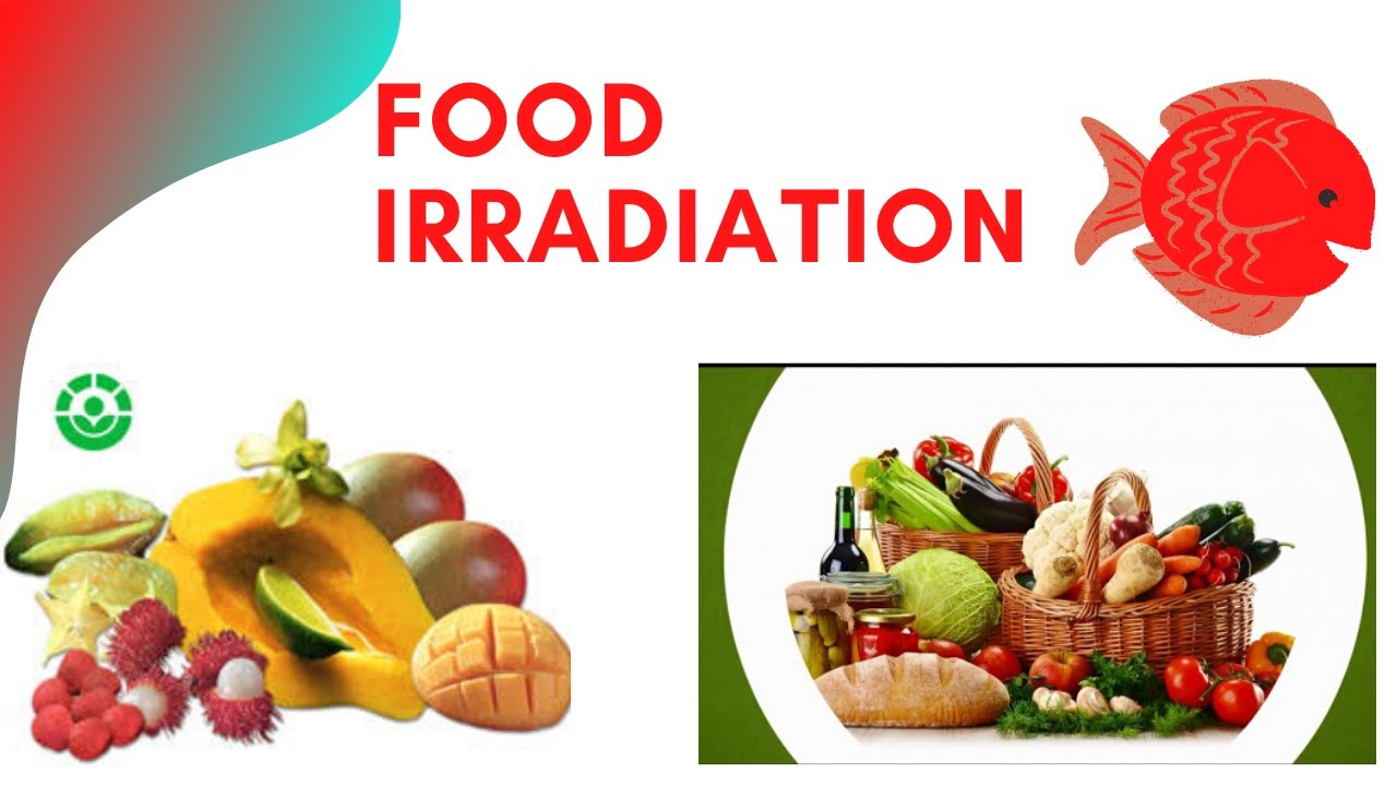 Food Irradiation Market to Grow at 6% CAGR Through 2033, Reports Future ...