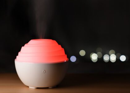 Humidifier Market