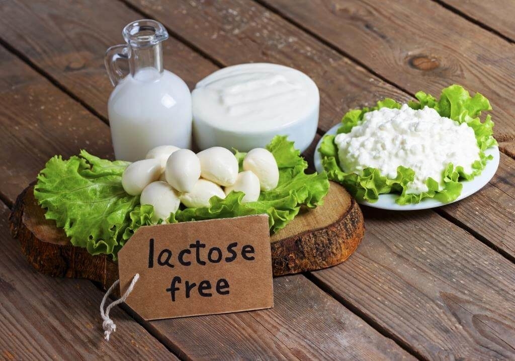 Lactose Market