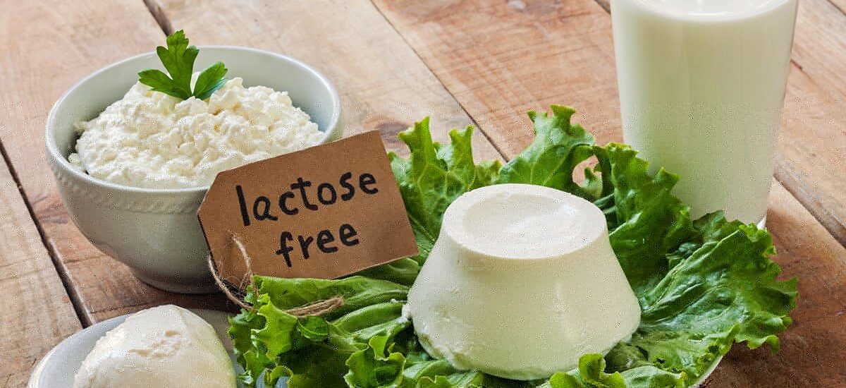 Lactose-free Products Market