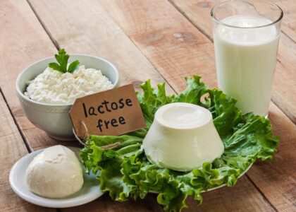 Lactose-free Products Market