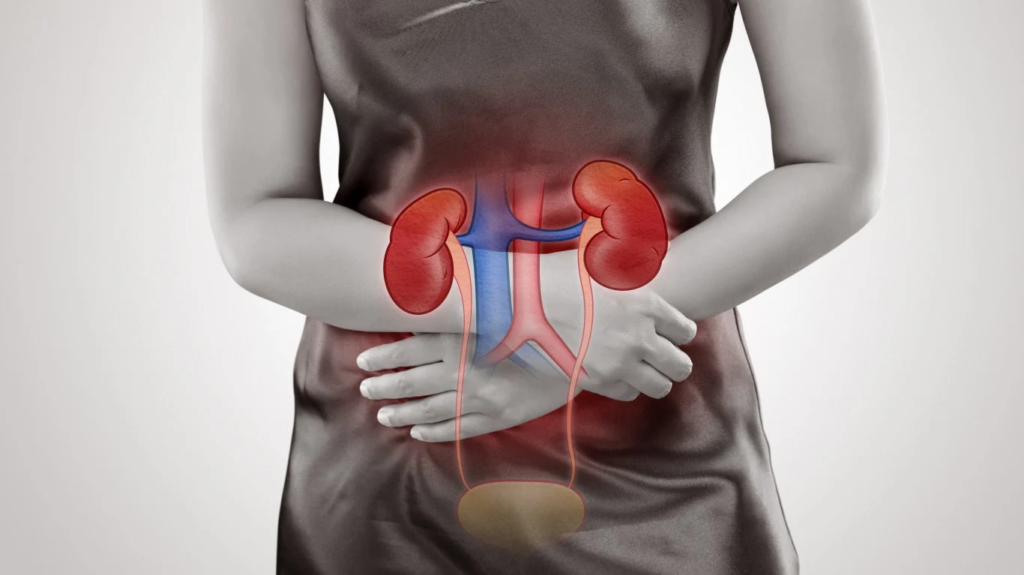 Late Stage Chronic Kidney Disease Therapeutics Market