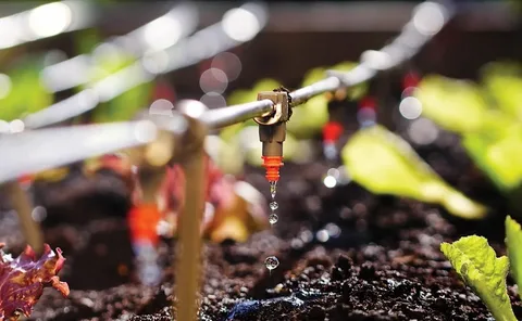 Micro Irrigation Systems Market