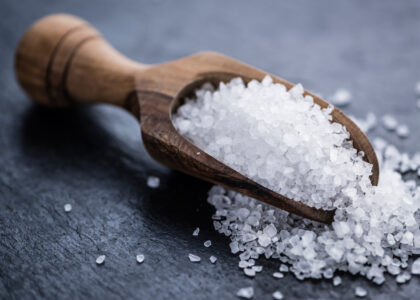 Micronized Salt Market