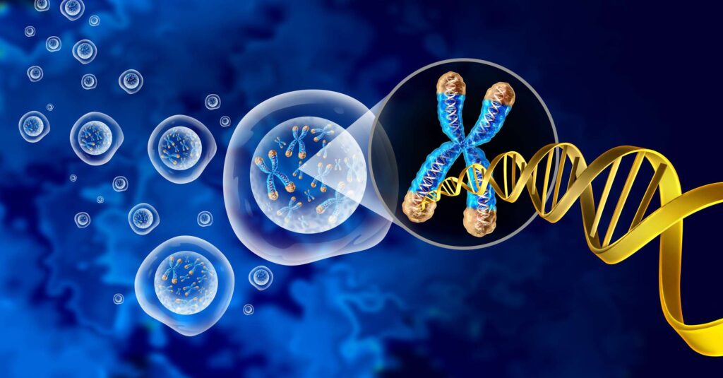 Molecular Cytogenetics Market