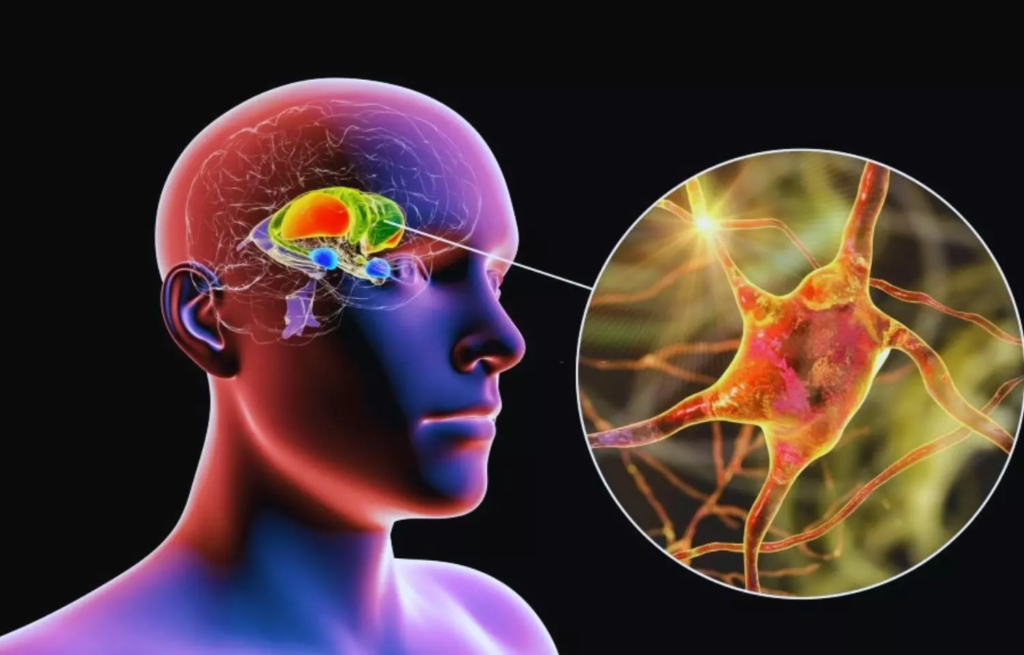 Neurodegenerative Disease Market