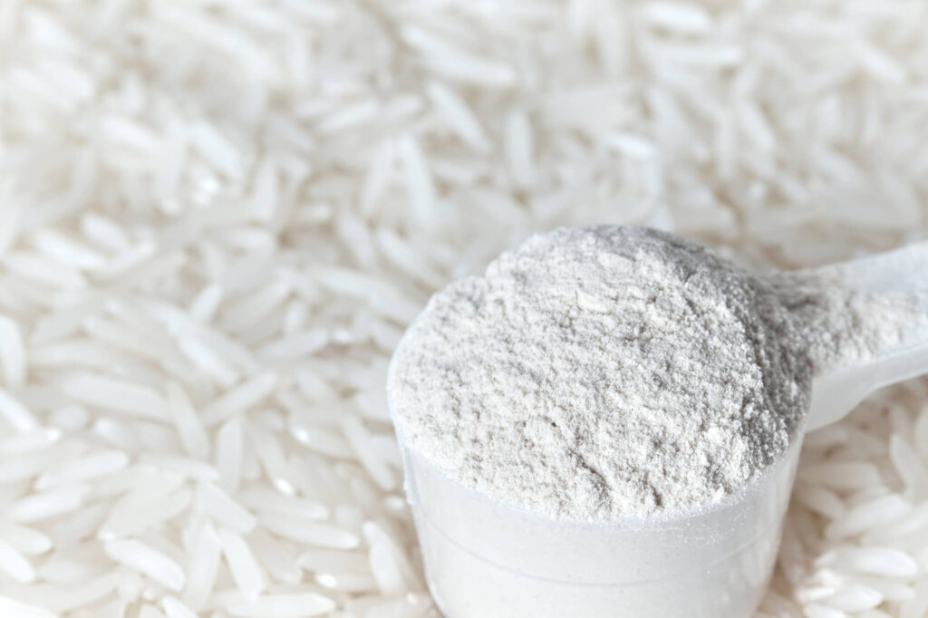 Organic Rice Protein Market 