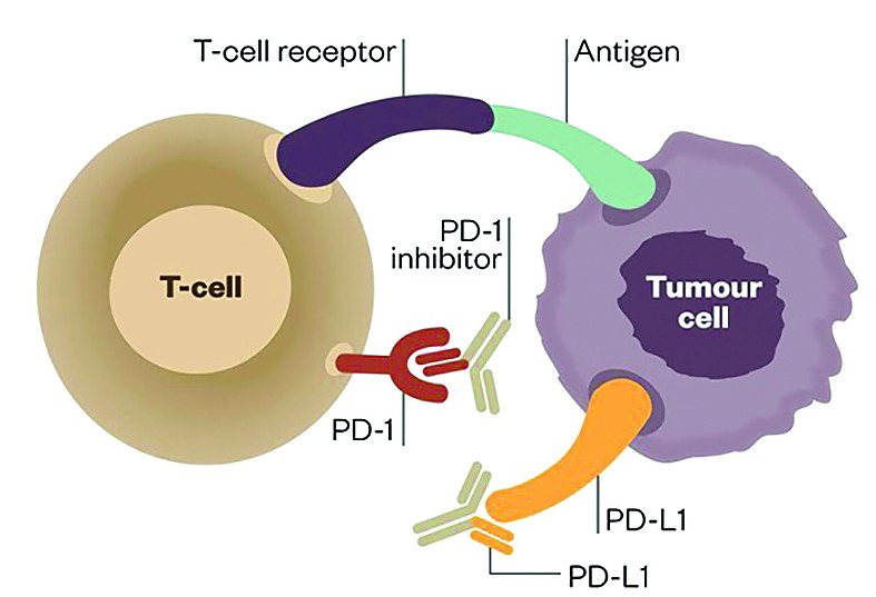 PD-L1 Biomarker Testing Market