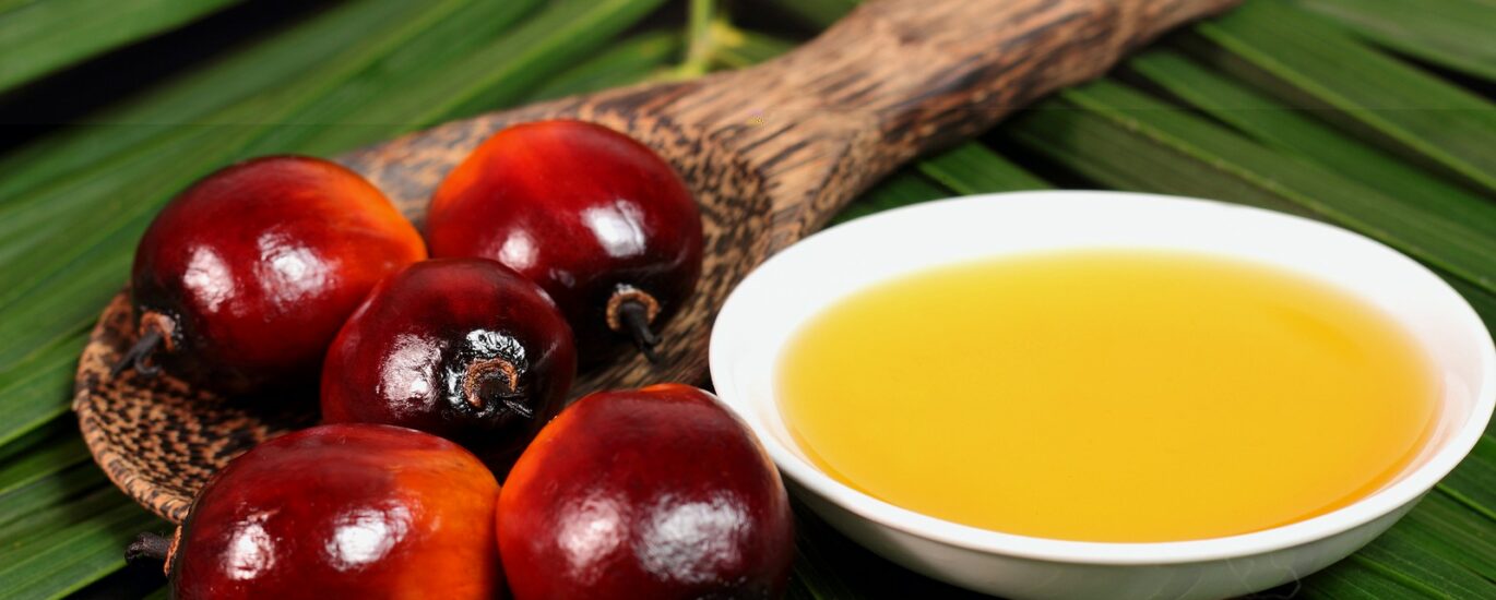 Palm Oil Market