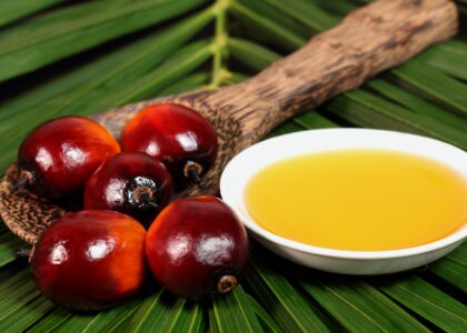 Palm Oil Market