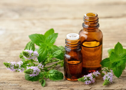 Peppermint Oil Market1