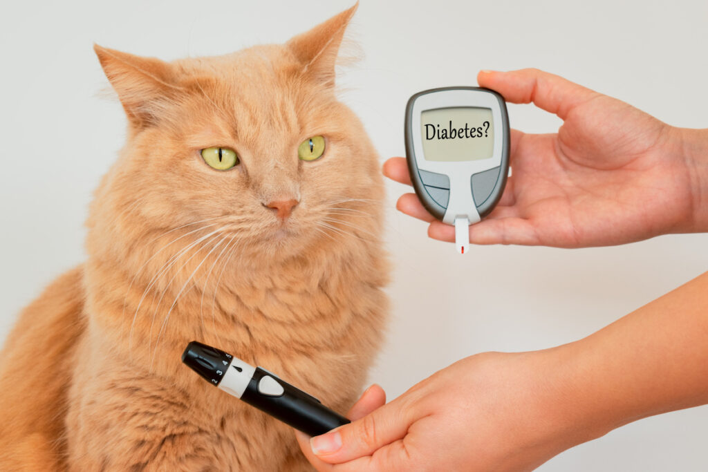 Pet Diabetes Care Devices Market