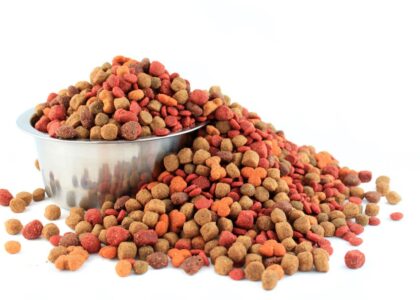 Pet Food Extrusion Market