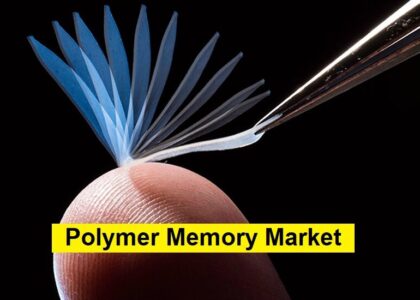 Polymer Memory Market