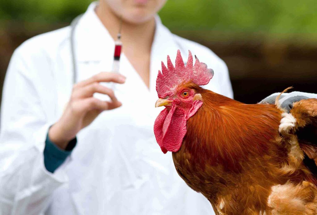Poultry Diagnostics Market