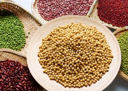 Seed Coating Material Market1