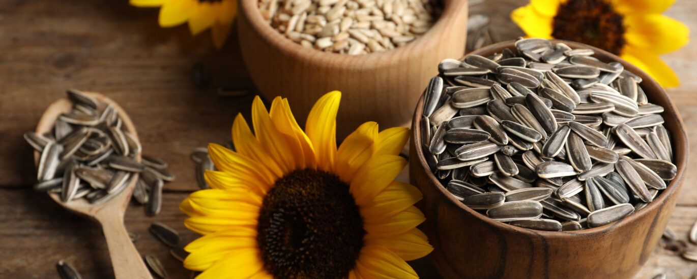 Sunflower Seed Market