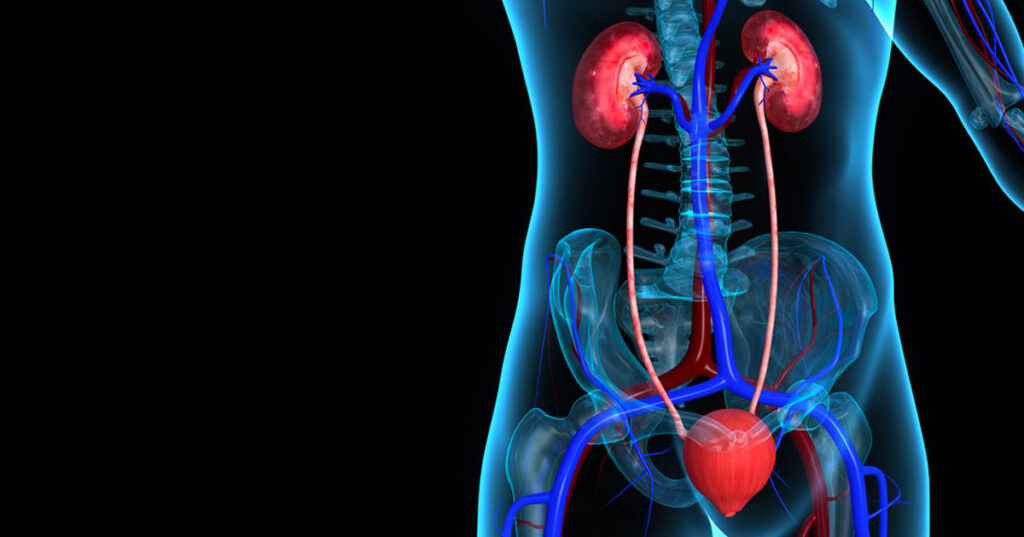 Urinary Retention Therapeutics Market