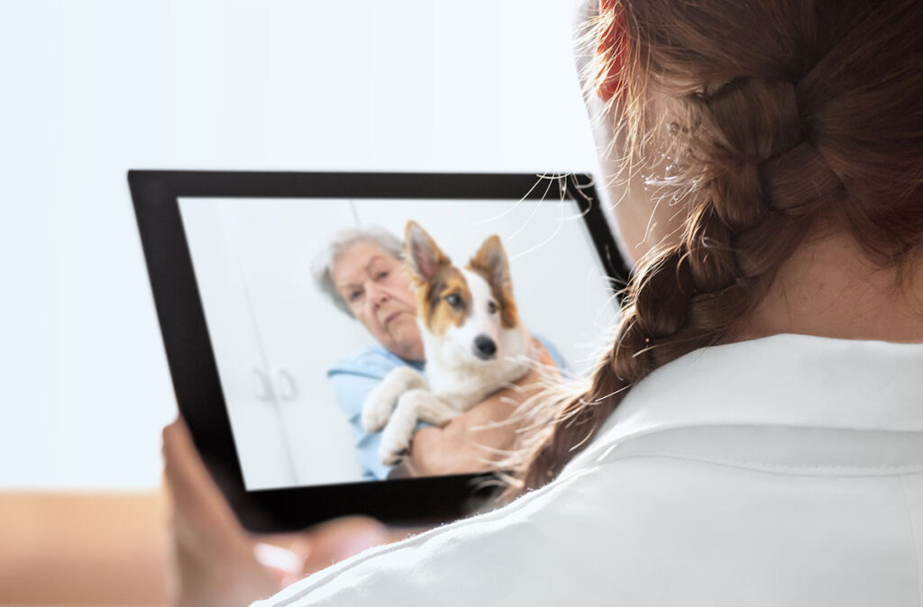 Veterinary Telehealth Market 