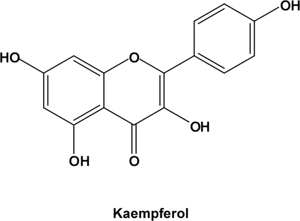 kempferol Market