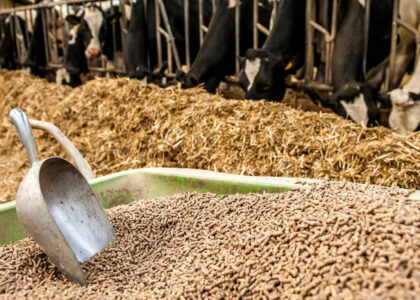 Animal Feed Market11.jpg