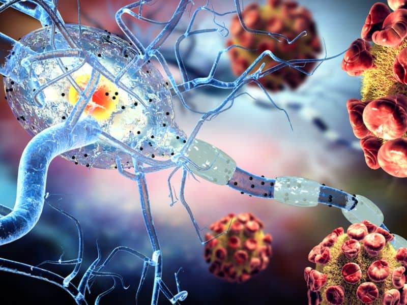 Autoimmune Disease Therapeutics Market