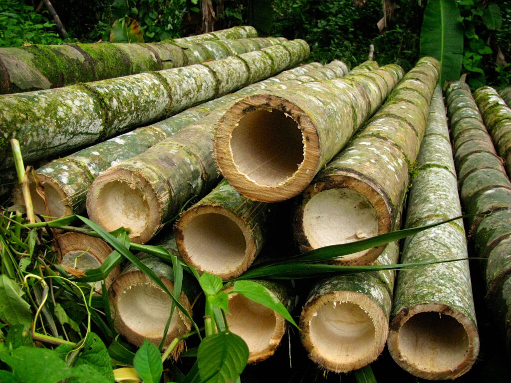 Bamboos Market Demand