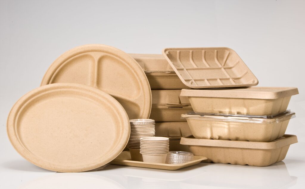 Global Biodegradable Disposable Tableware Market 