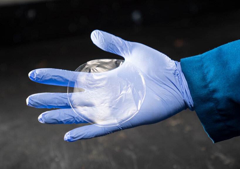 Biodegradable Gloves Market