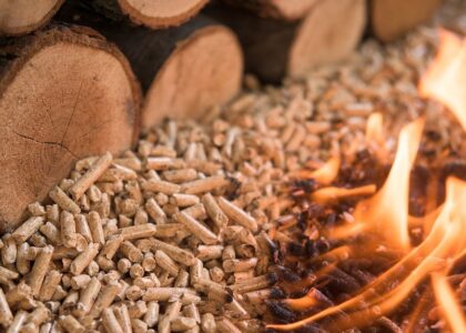 Biomass Pellets Market Analysis