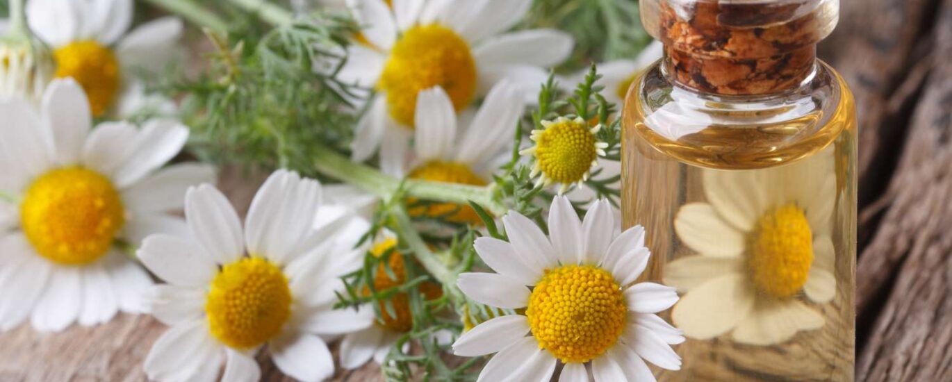 Chamomile Oil Market