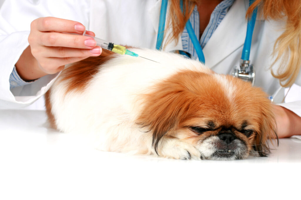 Companion Animal Vaccines Market