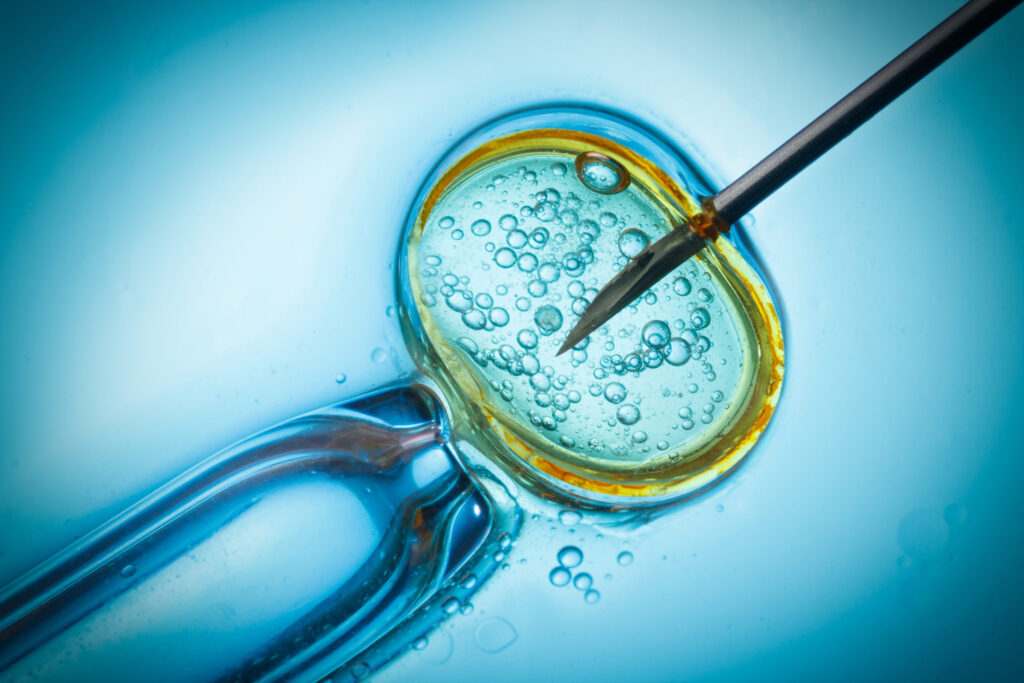 Donor Egg IVF (In-Vitro Fertilization) Market