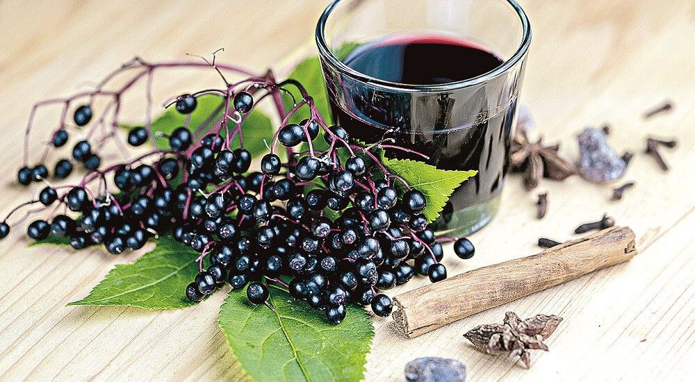 Elderberry Supplements Market12