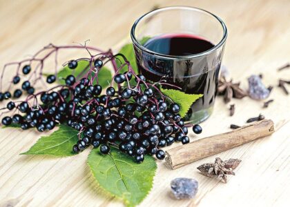 Elderberry Supplements Market12