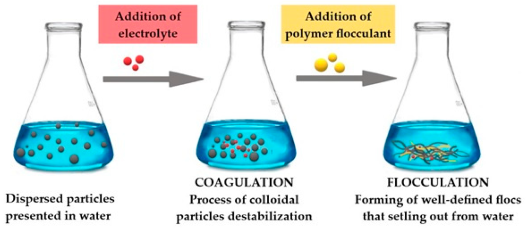 Flocculant and Coagulant Market Growth