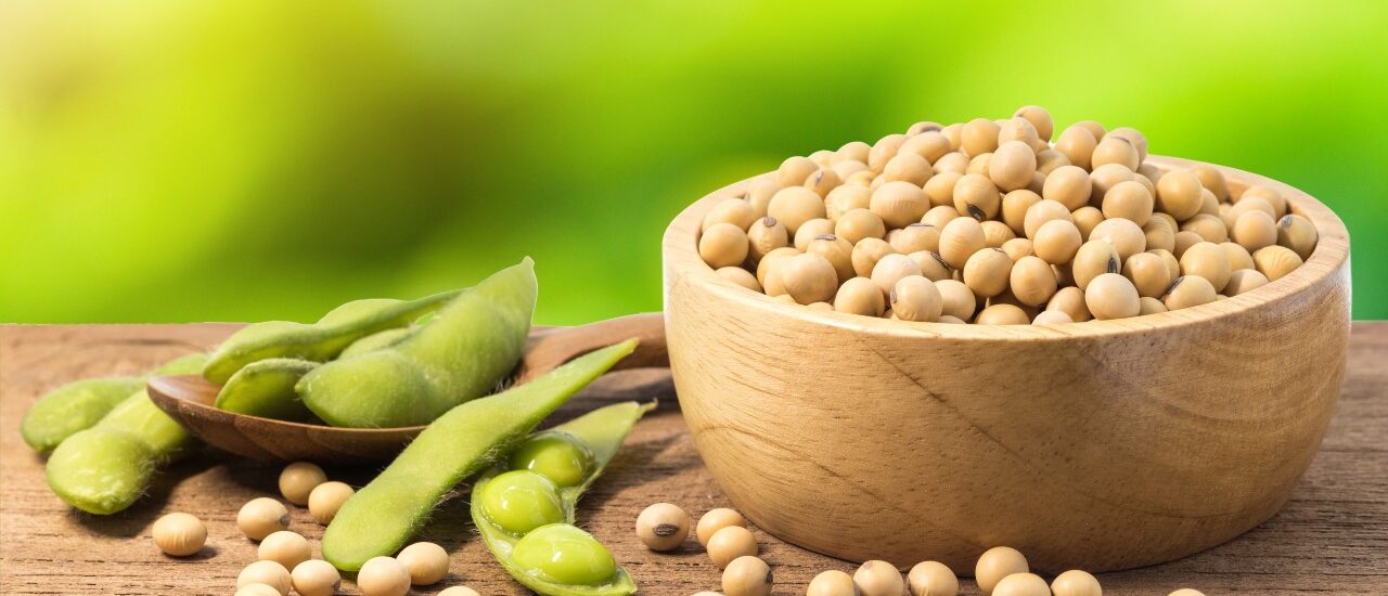 Glycine Soja (Soybean) Seed Extract Market