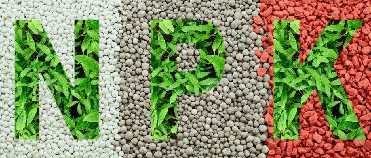 NPK Fertilizers Market12