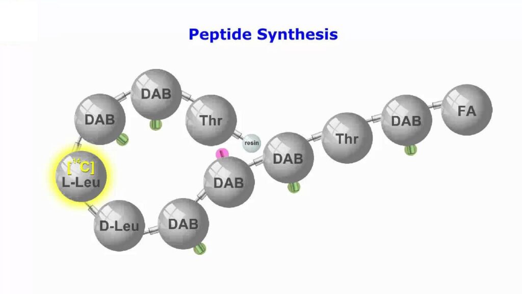 Peptide Synthesis Market