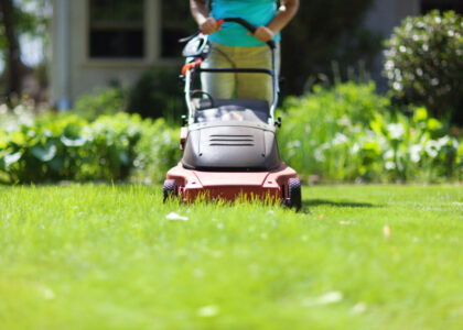 Powered Lawn Mowers Market