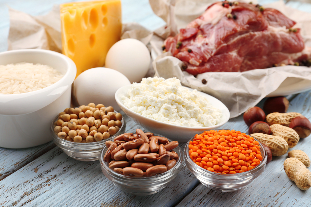 Protein A Resins Market