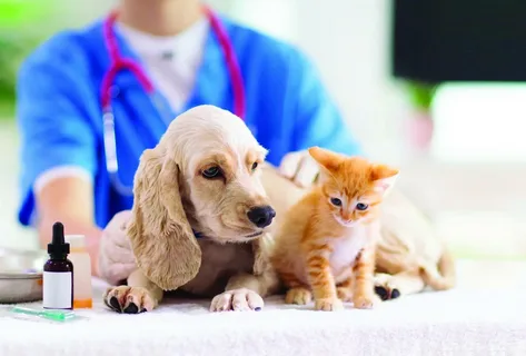 Southeast Asia Pet Care Market