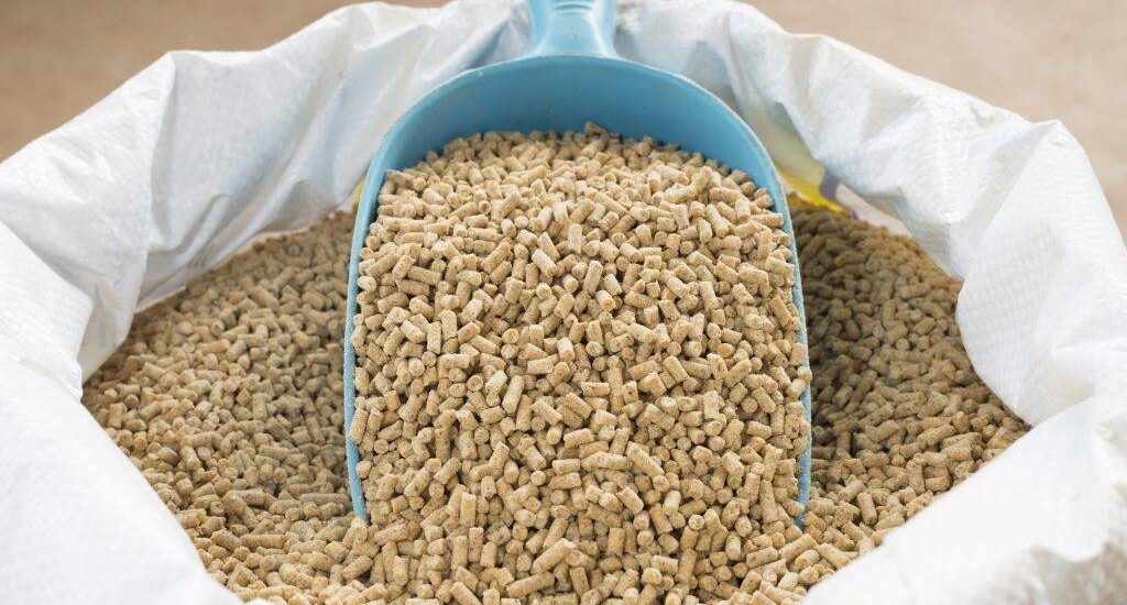 Animal Feed Minerals Market