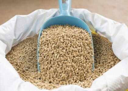 Animal Feed Minerals Market