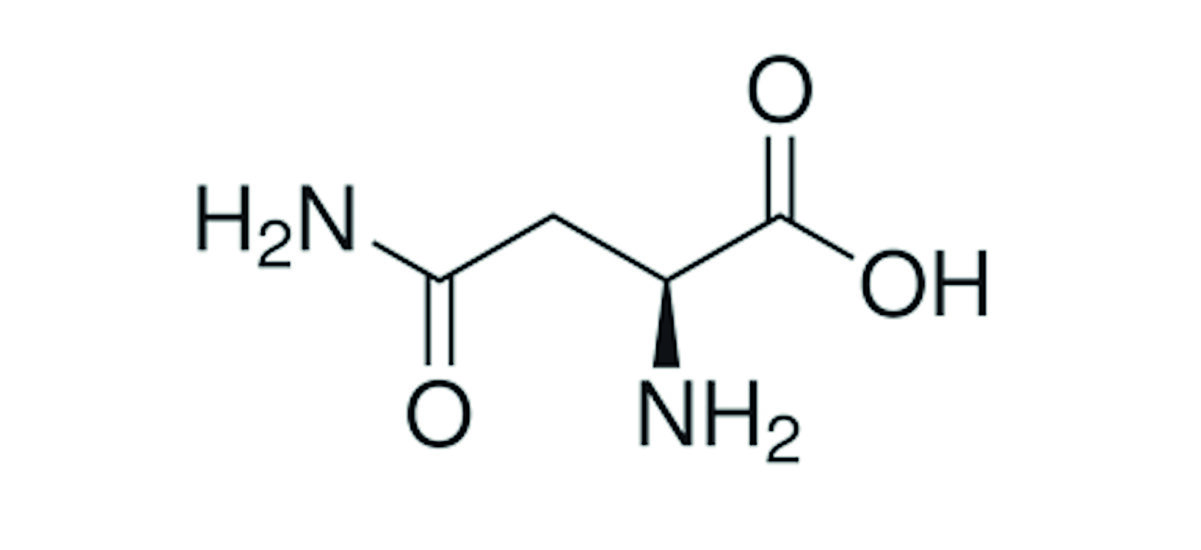 Asparagine Market.jpg