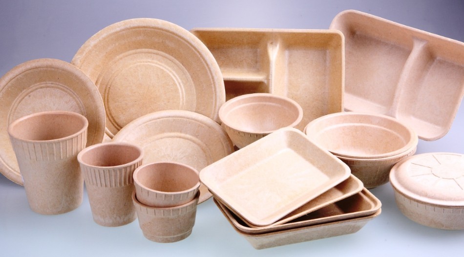 Bagasse Tableware Products Market