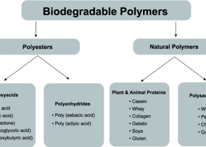 Biodegradable Polymers